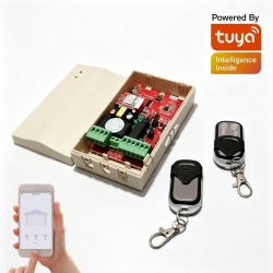 Tuya Smart WiFi AC Tubular Motor Radio Receiver Controller
